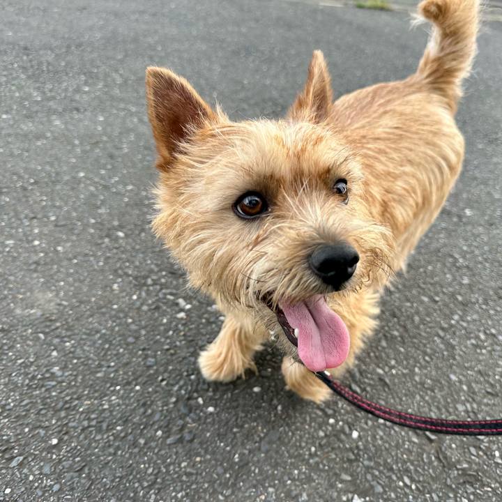 B2c7297c d0e4 484e 994c f4dad8a3ab90 1749116997268