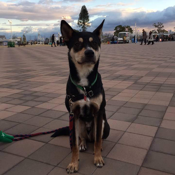 B2c72b4d b9ef 4987 acd4 7371eebd59b1 1513153687522