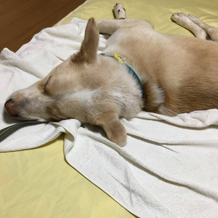 B2c73626 b014 4786 bff8 6cb535fbece2 1529851981895