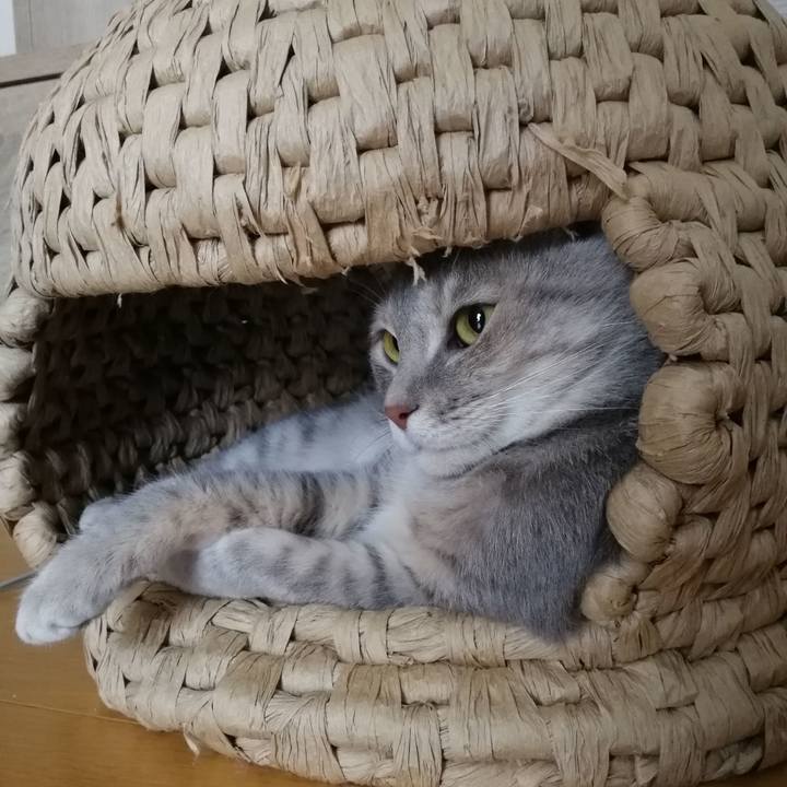 B2c741ca a75e 469e 8d89 2650ad06c5f9 1529022617808