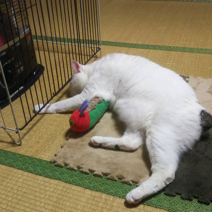 B2c7b63a d8e7 4bc9 9a5b 69b48727bb38 1554776121838