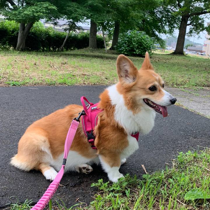 B2c7bc06 9682 4a02 a679 6de0736661d5 1654575582636