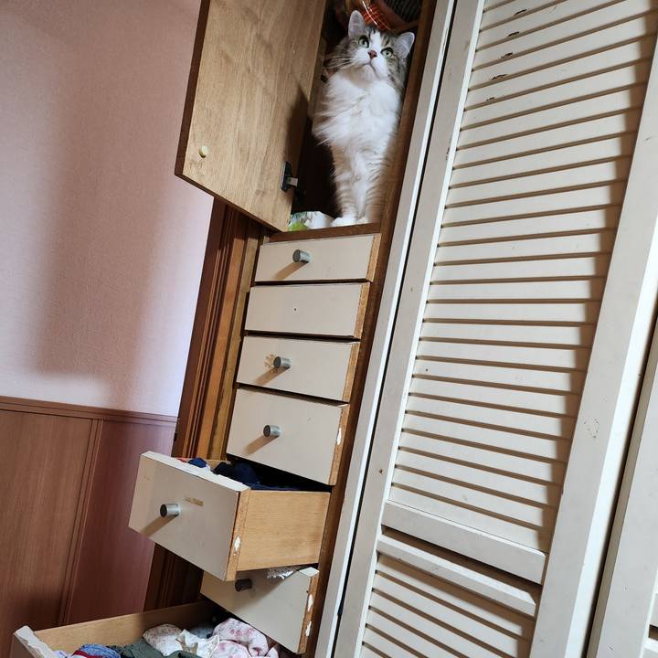 B2c7c2bf b2ee 42d8 86b5 499002aabaa5 1763784073302