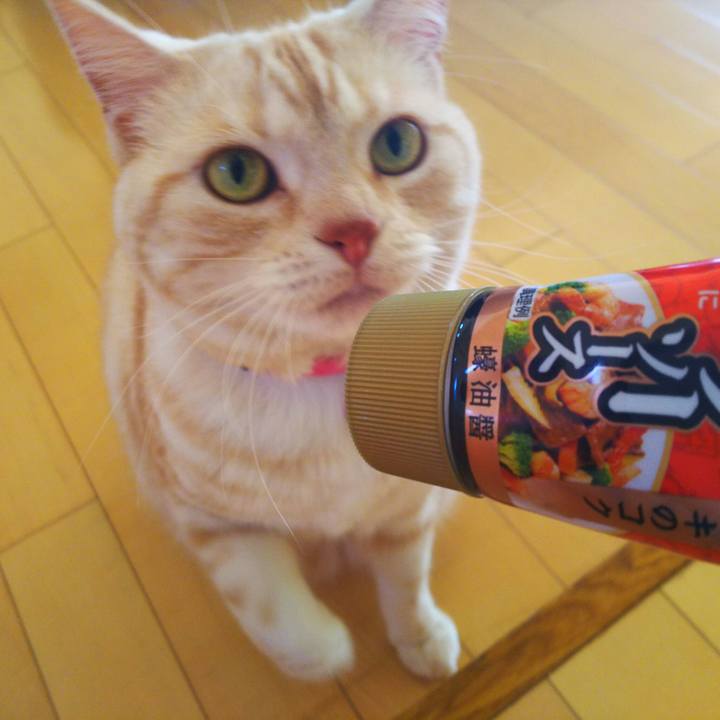 B2c7f676 096e 47c3 a531 7b5bbc7e5650 1523239547488