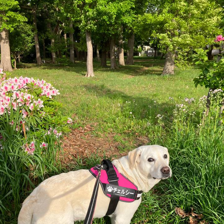 B2c801f2 884a 4214 b51f 7833313f00f8 1682033096291