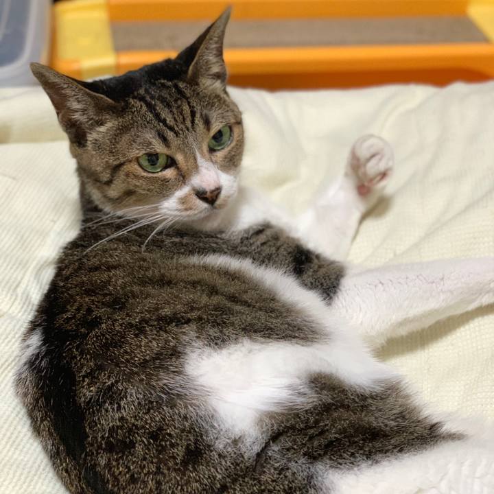 B2c841d9 4472 4081 b90d 1c622ae4c41f 1599268628085