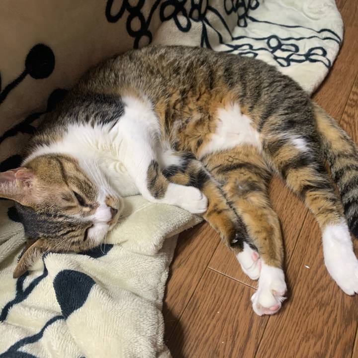 B2c87dc1 fa78 44d2 a569 afb97bbc1819 1578750336892