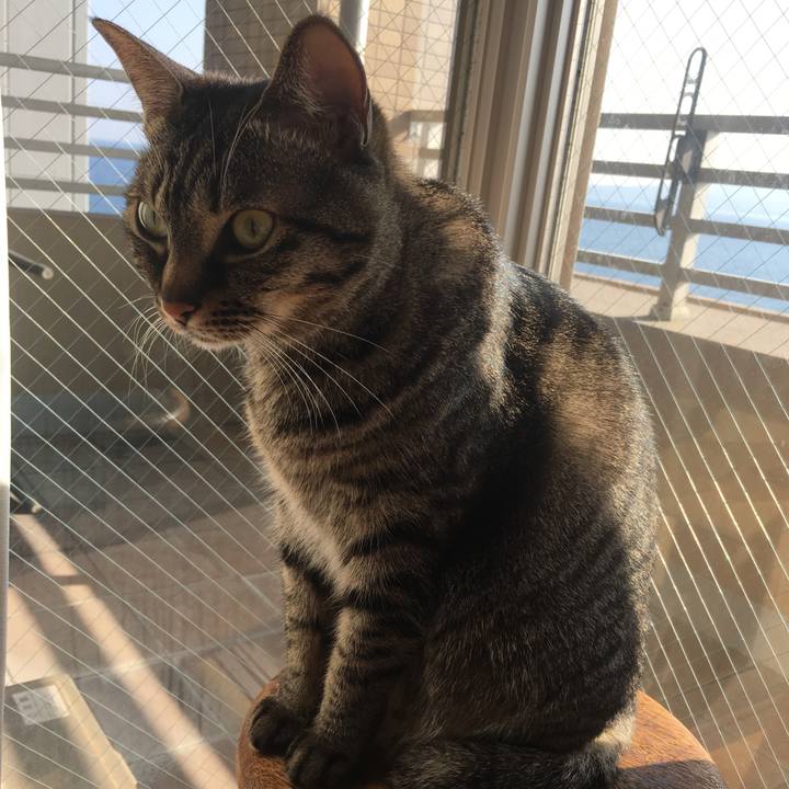 B2c897cc e4f5 4663 bae0 2a5550c22459 1548723329423