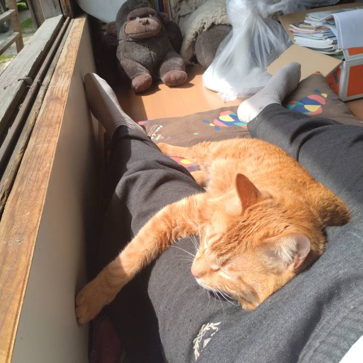 B2c8d877 db38 414b 9e3a 8f027a5f443a 1712544371115