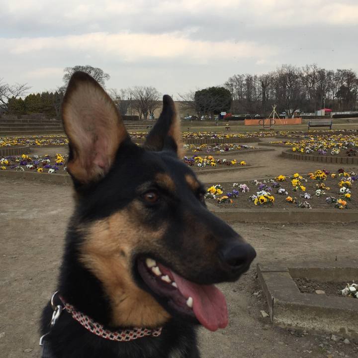 B2c90dbf 46c8 43bb bb11 c53b088ecce8 1519721043013