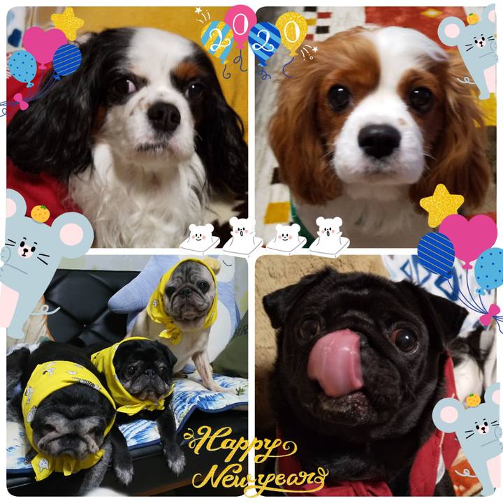 B2c912a3 ae22 47d7 86ff 11dbfca65b20 1577883532802