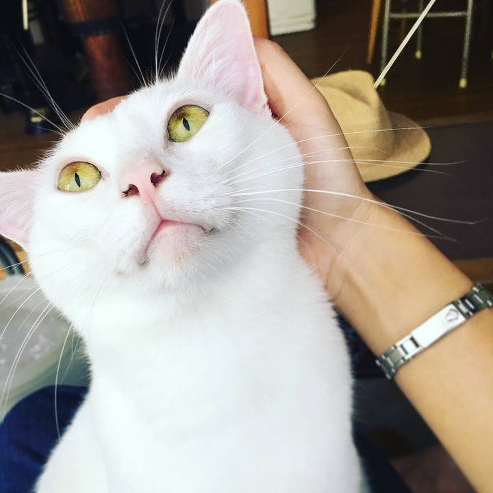 B2c92737 70a1 4322 963b 0e36c61bfade 1534649083713