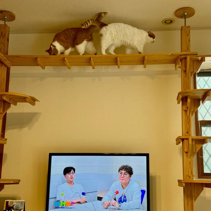 B2c97803 99c8 4bb2 867b 3c23d0200bd5 1770543988458