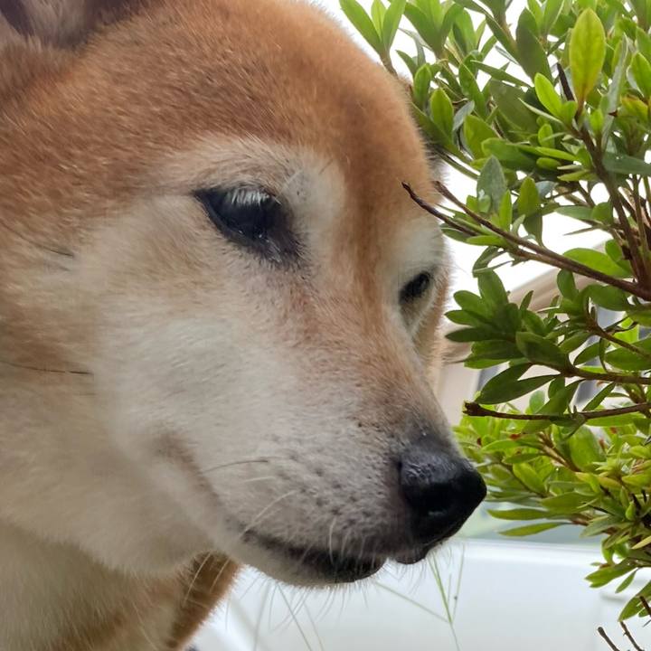 B2c97ba1 0bdd 4a2a a9ef 3420c3c4de75 1663651199636