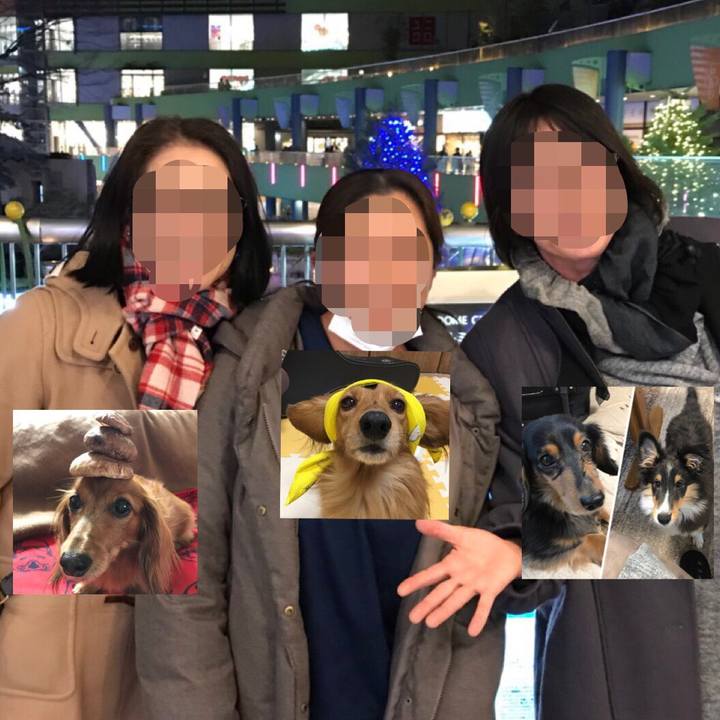 B2c98e46 bcc5 499a a2d8 12cb5b96fe06 1514299508161