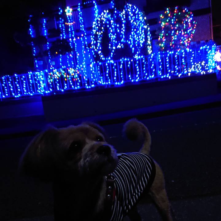 B2c9d19f 619d 4278 8e67 5f113812dafa 1573813808583