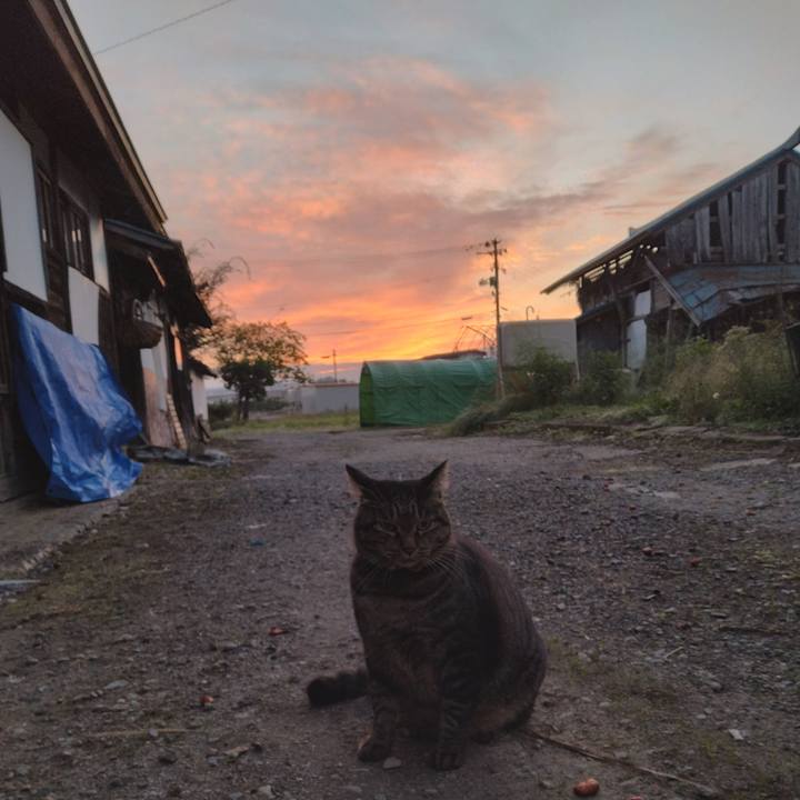 B2ca0fff 7ccb 47ed 84cb 2fd2fef8a99b 1664400714273