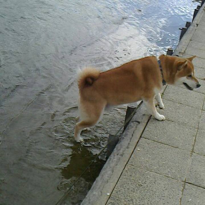 B2ca2242 6403 4d06 8ba7 e6c025a89bb0 1542630301514