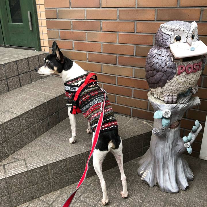 B2ca6d96 199d 4f83 89a7 5d10271a0d13 1547383302746