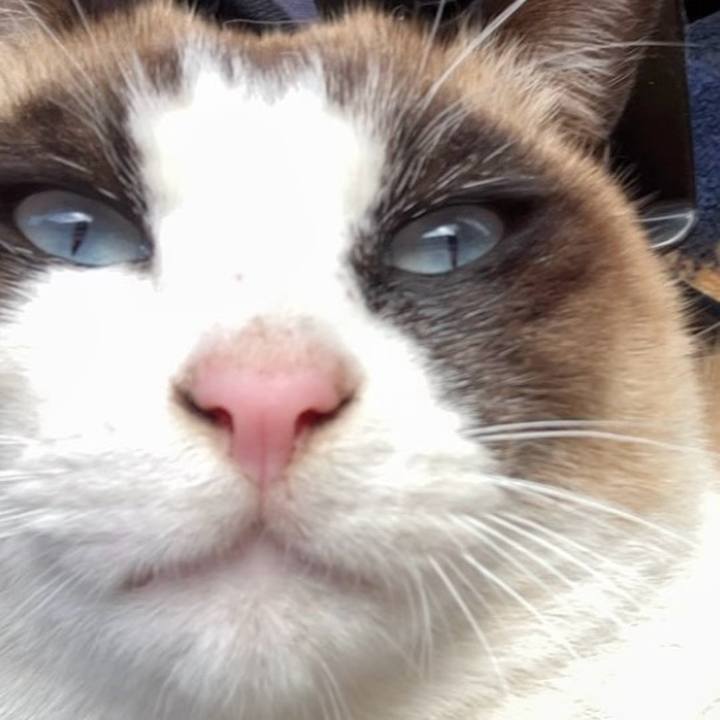 B2ca74e5 c122 4ad5 849a d8635a8dd575 1738806569938