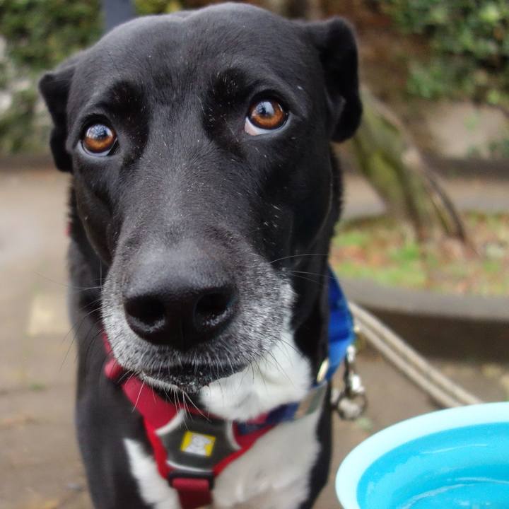 B2ca88e5 c9a6 4ef0 9428 c59b1b9900e5 1647560451358