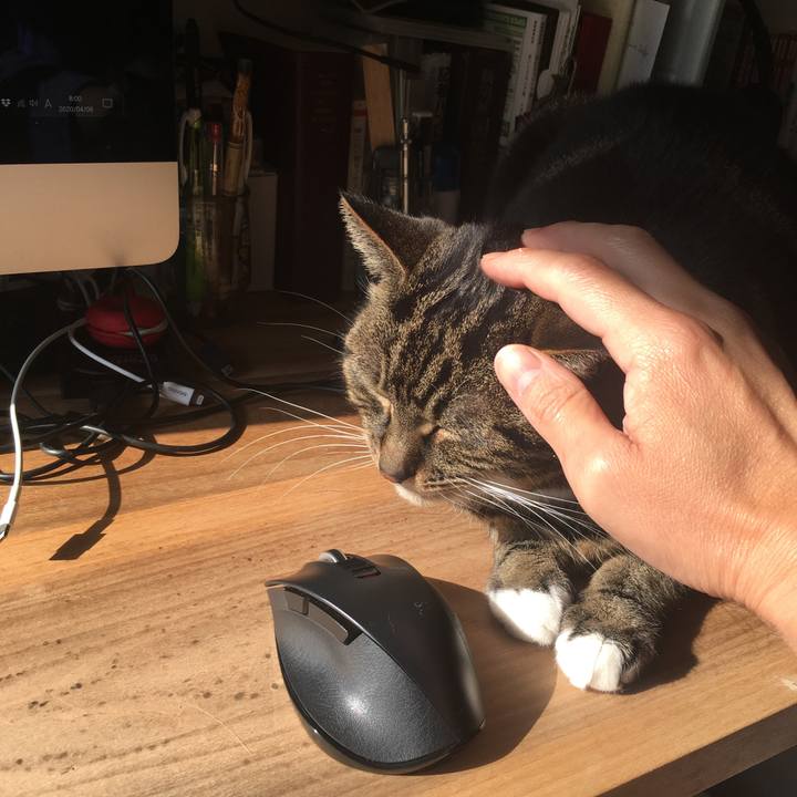 B2caa768 3725 40bb 9142 b64c21e72ac5 1586301033376