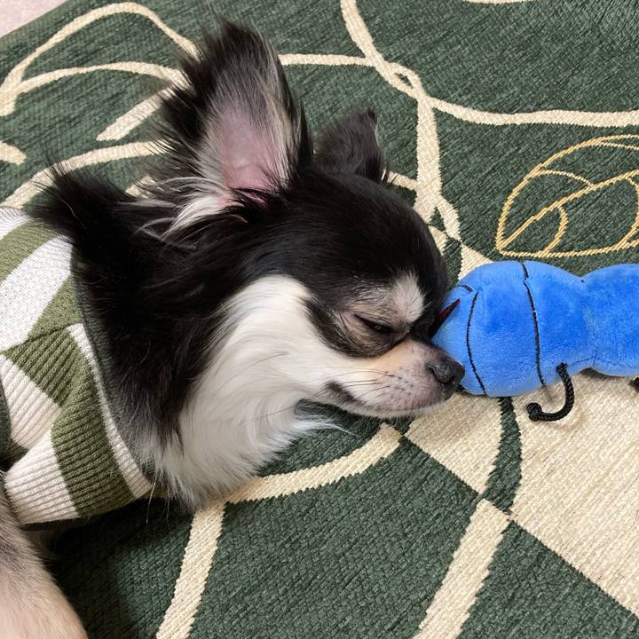 B2cad2b1 f5c9 42cd 8531 a9d59c1c6dfc 1649599033008