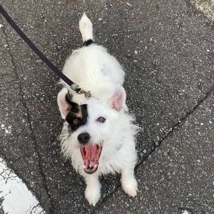 B2caddd7 e7e9 48e6 bc8d bd2beff2bede 1662074049425