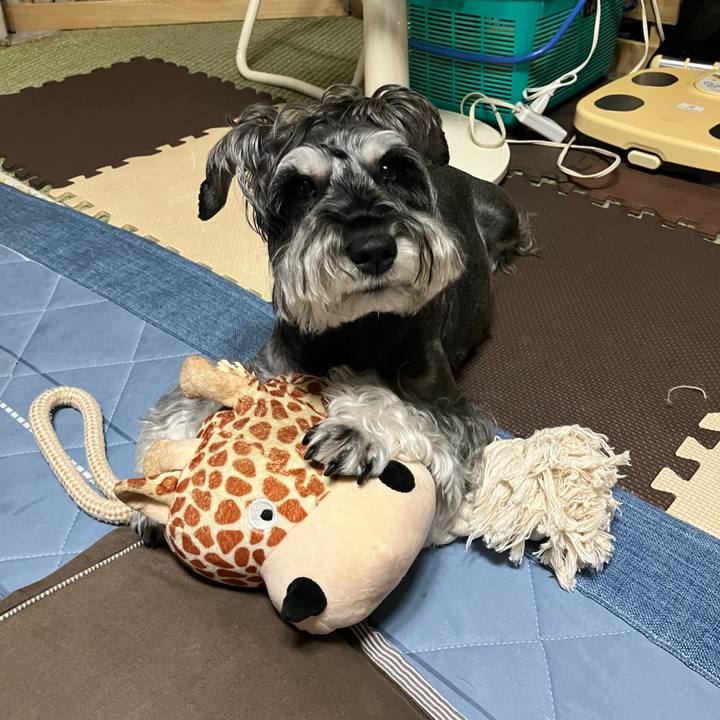 B2cb0037 7e45 4c48 a45e b54c2fa11842 1727491279678