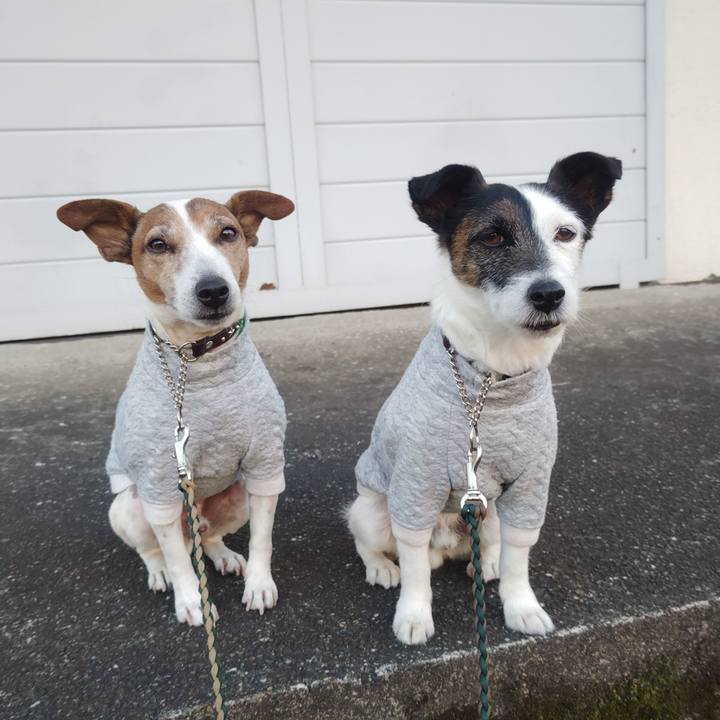 B2cb0c01 442d 4784 9e2d efd1108e1986 1771194884975