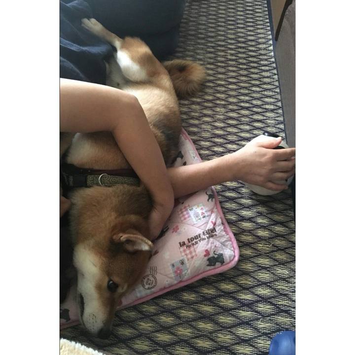 B2cb5322 bef0 47eb 83e6 cb7c7fc240af 1534400448448