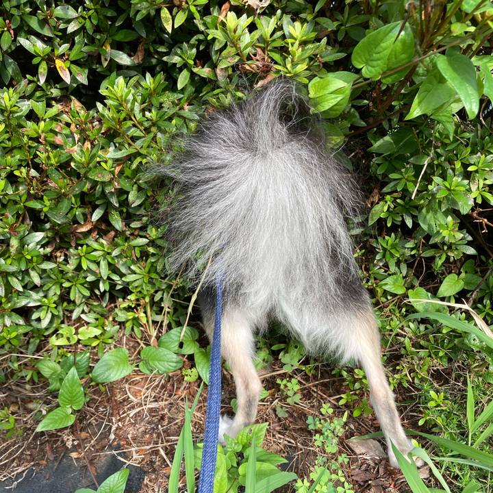 B2cb773a 9318 45c9 9349 e087b6e50f89 1658669704821