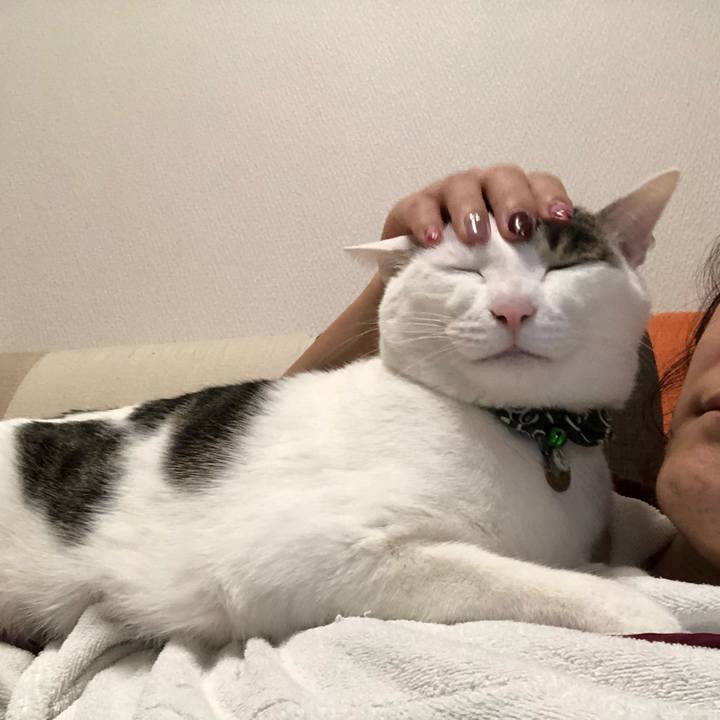 B2cb8ecc 39b3 44d3 a9ed b81a2d3e319b 1554282177575