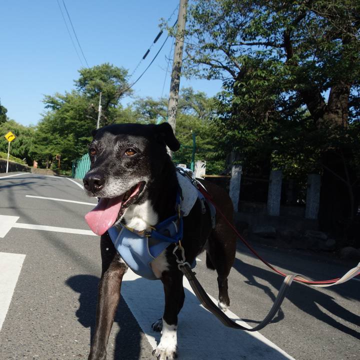 B2cbb974 64f7 48ae b406 9328c356c838 1753746548575