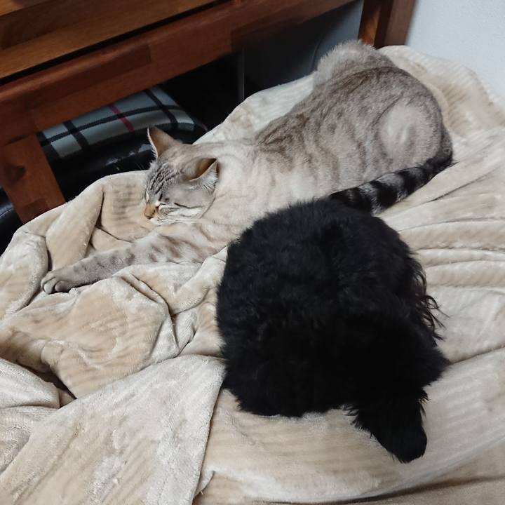 B2cbf742 5663 474a b7fd 812bf77c4559 1547991483285