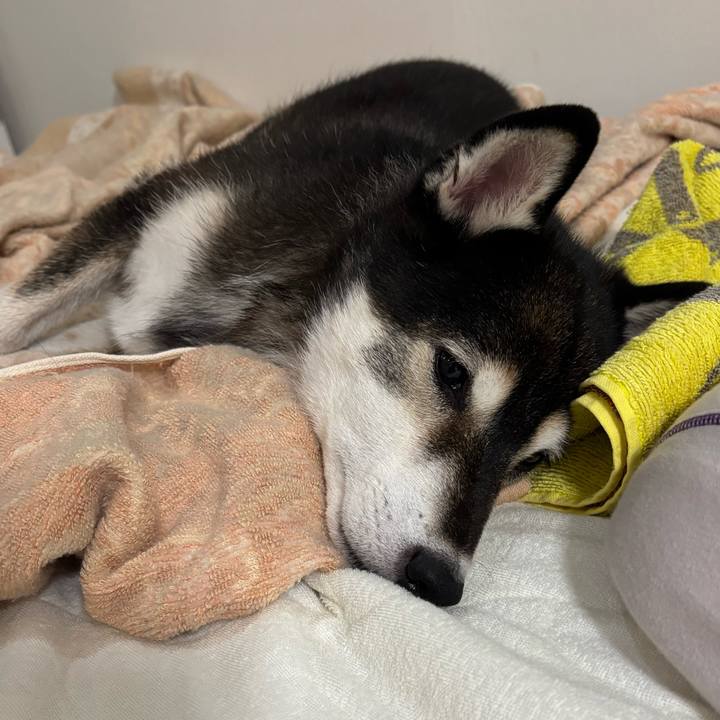 B2cc0681 5365 486a b01e 18c4a3013cc4 1756274697564