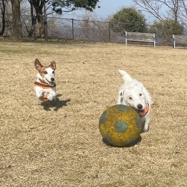 B2cc4301 ea0a 4d99 889d 97f1e2565c9c 1773791190511