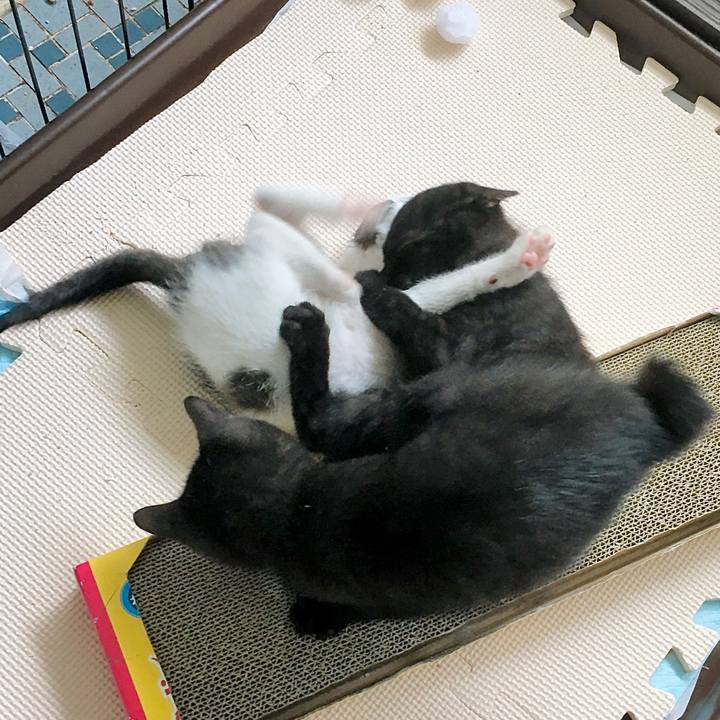 B2cc4336 d0eb 4fce bbe8 ca5fcf6f3908 1625557391985