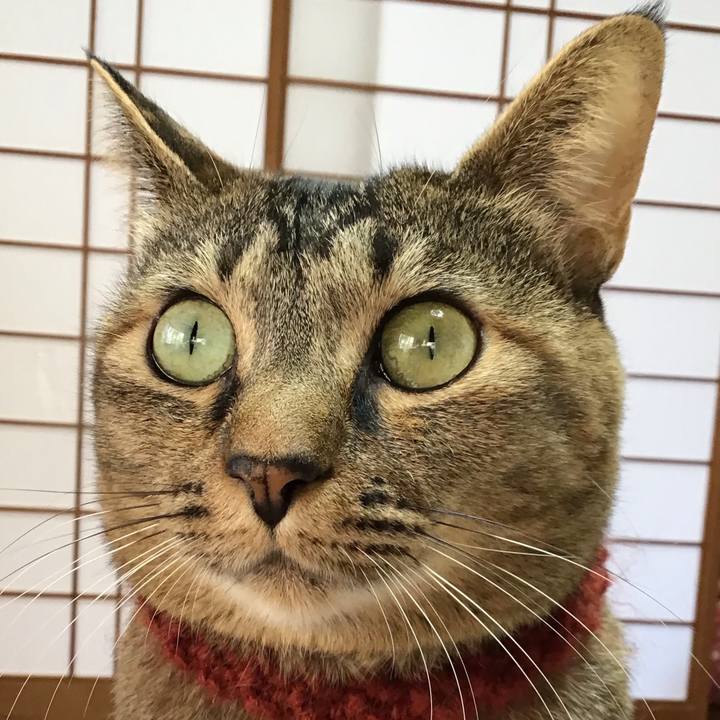 B2cc7e24 160c 4bce 9798 1ebfc377ac3a 1644361743782