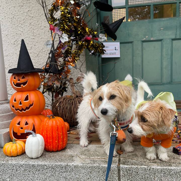 B2ccabbc 28d9 4bd7 b102 2168effc4597 1761315007748