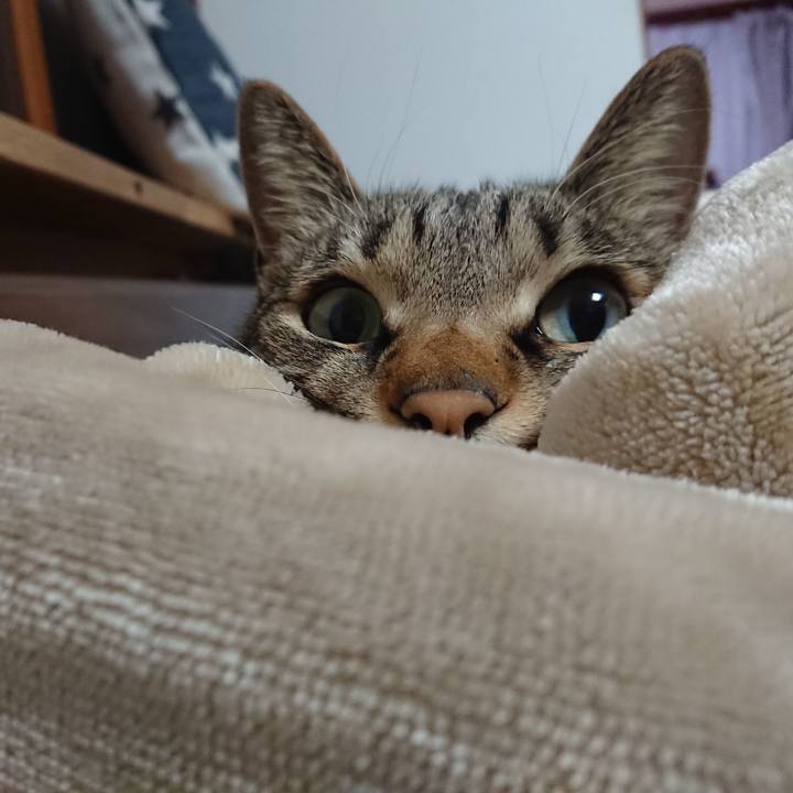 B2cce092 3ad7 4091 a11d 0458b1befbde 1577002833862