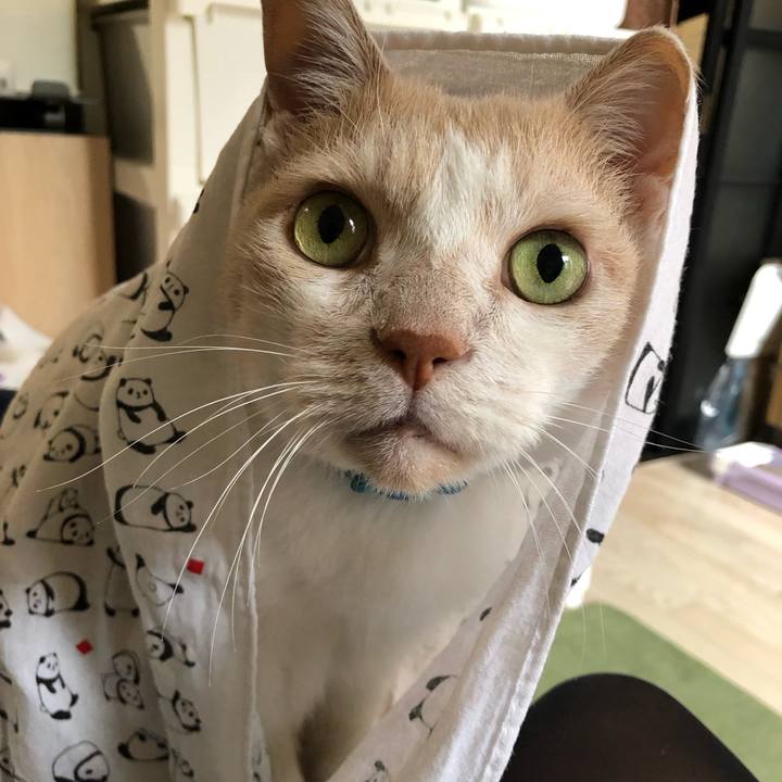 B2ccf86f ba38 4021 825b 901bb7a81bf9 1630715467464