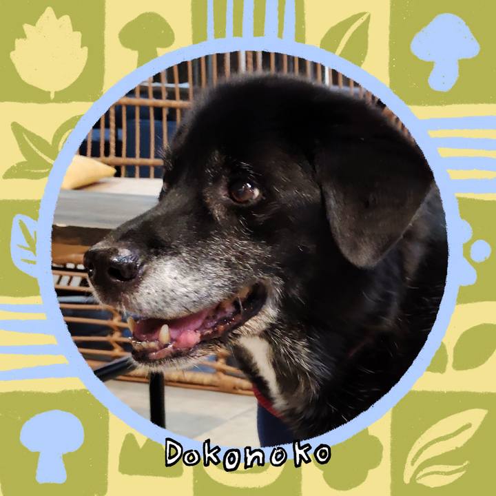 B2cd234e 82d8 4501 9ab9 861f41177233 1761495554454