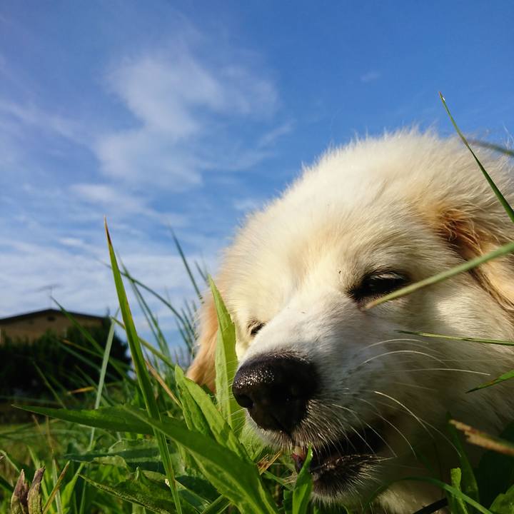 B2cd2b6a fb18 4804 b832 d15c630d7506 1535145336804