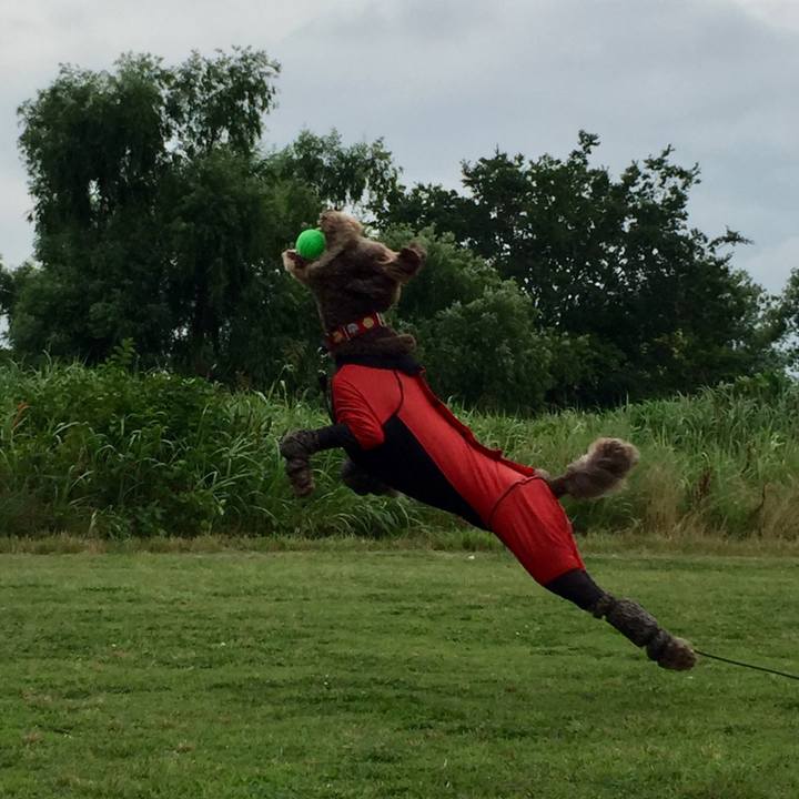 B2cd4a68 cded 4e65 9514 f32669b86564 1561345516842