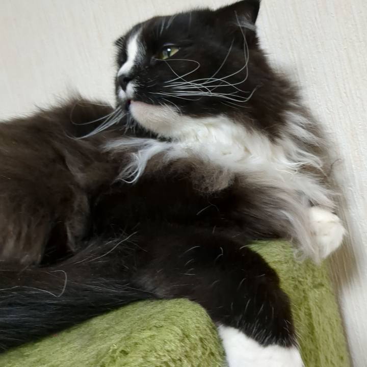 B2cd757b c413 415e b585 51cb7bda1d18 1675602374861