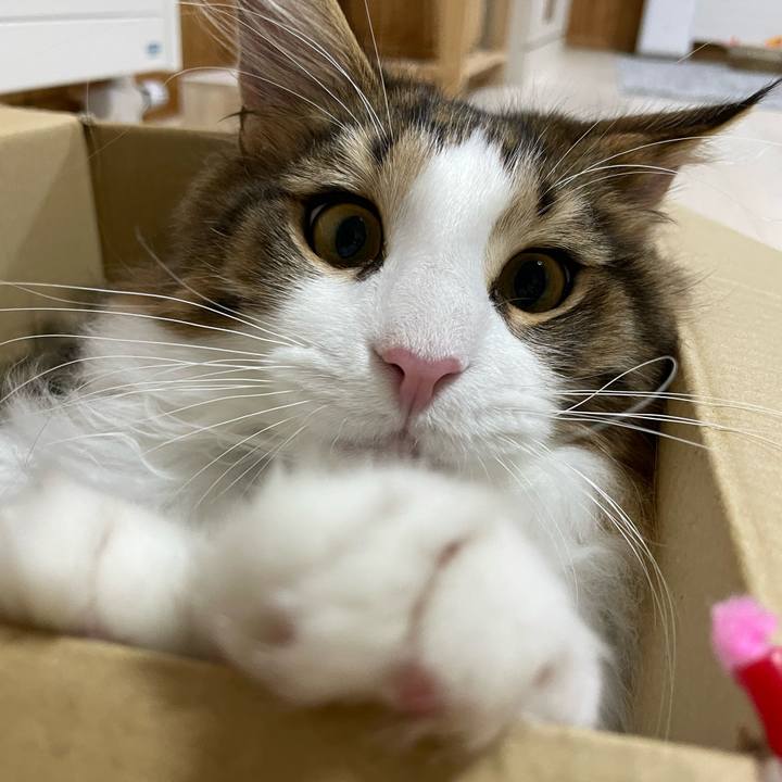 B2cdffd3 17fb 42dc 9aa4 4665715b73dd 1640087216209