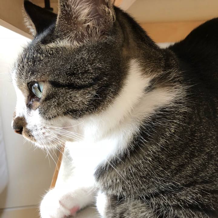 B2ce0280 76e5 4d9c 8f6e af4d3d33546f 1535362467008