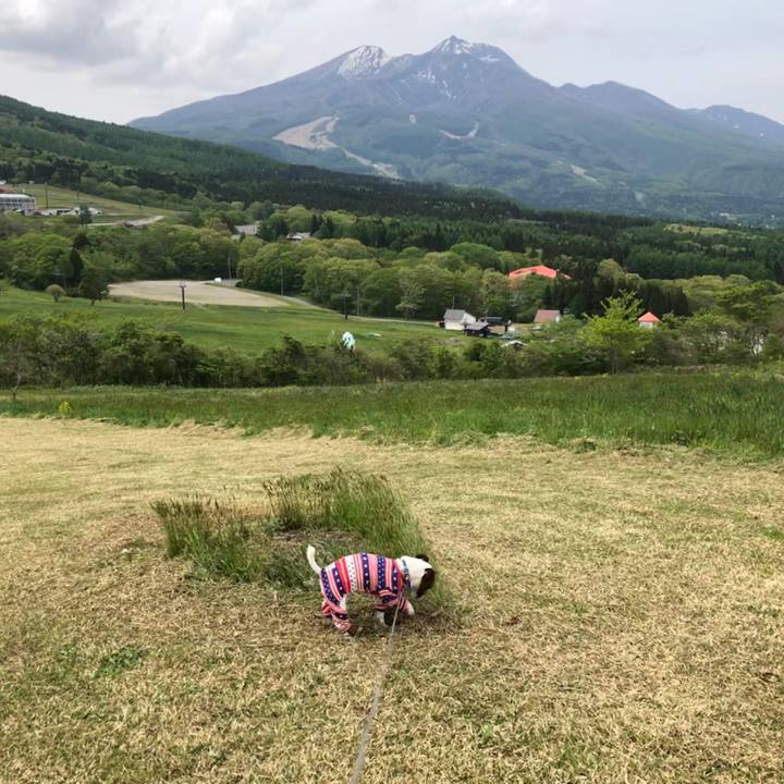 B2ce3b91 1207 4583 8d9d 023e761486f7 1589783949947