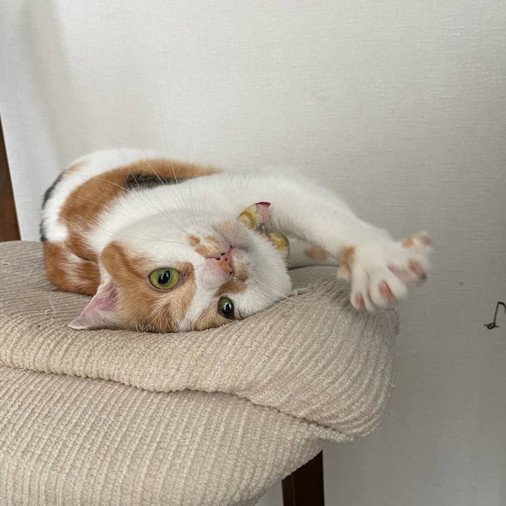 B2ce3ecd 65a2 40c6 9657 abaa3a0a0f02 1633997883190